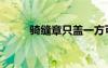 騎縫章只蓋一方可以嗎（騎縫章）