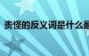 責(zé)怪的反義詞是什么最佳答案 責(zé)怪的反義詞