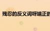 殘忍的反義詞呀端正的反義詞 殘忍的反義詞
