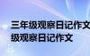 三年級(jí)觀察日記作文300字關(guān)于動(dòng)物的 三年級(jí)觀察日記作文