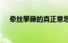 牽絲攀藤的真正意思 牽絲攀藤成語解釋