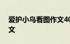 愛護小鳥看圖作文400字 愛護小鳥的看圖作文