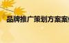 品牌推廣策劃方案案例 品牌推廣策劃方案