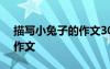 描寫(xiě)小兔子的作文300字左右 描寫(xiě)小兔子的作文