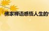 佛家禪語(yǔ)感悟人生的句子 感悟人生的句子