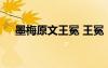 墨梅原文王冕 王冕《墨梅》注釋及賞析