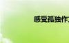 感受孤獨作文 孤獨作文
