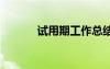 試用期工作總結(jié) 實(shí)習(xí)工作總結(jié)