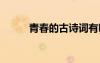 青春的古詩詞有哪些 青春的古詩