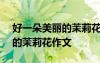 好一朵美麗的茉莉花作文400字 好一朵美麗的茉莉花作文