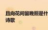 且向花間留晚照是什么意思 且向花間留晚照詩歌