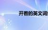 開著的英文詞組 開著的英文
