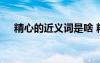 精心的近義詞是啥 精心的同義詞是什么