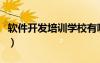 軟件開發(fā)培訓(xùn)學(xué)校有哪些（軟件開發(fā)培訓(xùn)學(xué)校）
