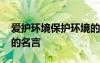 愛護(hù)環(huán)境保護(hù)環(huán)境的句子 愛護(hù)環(huán)境保護(hù)環(huán)境的名言