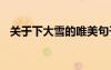 關(guān)于下大雪的唯美句子 下大雪的唯美句子