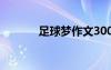 足球夢作文300字 足球夢作文