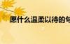 愿什么溫柔以待的句子 溫柔以待的句子