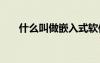 什么叫做嵌入式軟件 什么叫做嵌入式