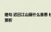 絕句 遲日江山麗什么意思 杜甫《絕句遲日江山麗》全詩及賞析