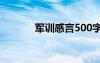 軍訓感言500字左右 軍訓感言