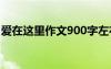 愛在這里作文900字左右 愛在這里作文900字