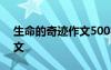 生命的奇跡作文500字初中 生命的奇跡的作文
