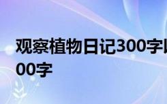 觀察植物日記300字以上 觀察植物日記作文300字