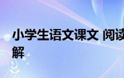 小學(xué)生語(yǔ)文課文 閱讀 小學(xué)生語(yǔ)文課文閱讀理解