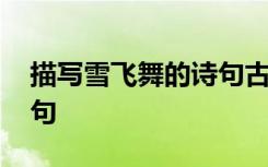 描寫(xiě)雪飛舞的詩(shī)句古詩(shī)大全 描寫(xiě)雪飛舞的詩(shī)句