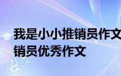 我是小小推銷員作文開頭和結(jié)尾 我是小小推銷員優(yōu)秀作文