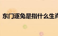 東門逐兔是指什么生肖 東門逐兔的成語解釋