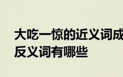 大吃一驚的近義詞成語(yǔ)有哪些 大吃一驚的近反義詞有哪些