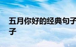 五月你好的經(jīng)典句子摘抄 五月你好的經(jīng)典句子