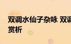 雙調(diào)水仙子雜詠 雙調(diào)水仙子舟中元曲原文及賞析