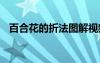 百合花的折法圖解視頻 百合花的折法圖解