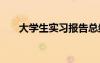 大學(xué)生實(shí)習(xí)報(bào)告總結(jié) 大學(xué)生實(shí)習(xí)總結(jié)