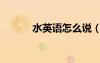 水英語怎么說（糖英語怎么說）