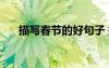 描寫春節(jié)的好句子 描寫春節(jié)的好句「」