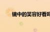 鏡中的笑容好看嗎 鏡中的笑容作文