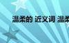 溫柔的 近義詞 溫柔的近義詞以及擴展