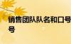 銷售團(tuán)隊(duì)隊(duì)名和口號(hào)大全 銷售團(tuán)隊(duì)隊(duì)名和口號(hào)