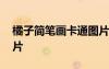 橘子簡筆畫卡通圖片彩色 橘子簡筆畫卡通圖片