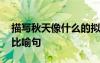描寫(xiě)秋天像什么的擬人句 描寫(xiě)秋天像什么的比喻句
