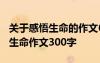 關(guān)于感悟生命的作文600字3篇 感悟人生感悟生命作文300字