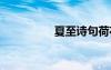 夏至詩(shī)句荷花 夏至詩(shī)句