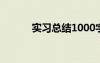 實(shí)習(xí)總結(jié)1000字 實(shí)習(xí)自我總結(jié)