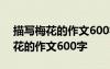描寫梅花的作文600字優(yōu)秀作文大全 描寫梅花的作文600字