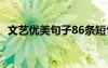 文藝優(yōu)美句子86條短句 文藝優(yōu)美句子86條
