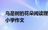 鳥是樹的花朵閱讀理解及答案 鳥是樹的花朵小學作文